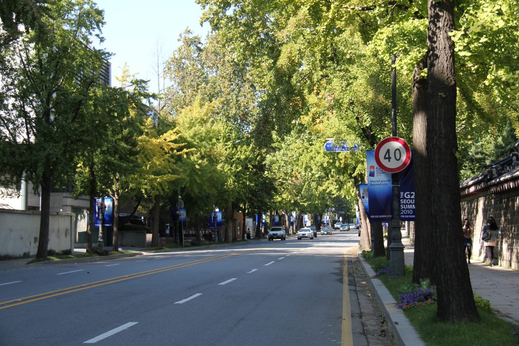 Baumgesäumte Straße in Seoul auf einer Archivaufnahme von 2010